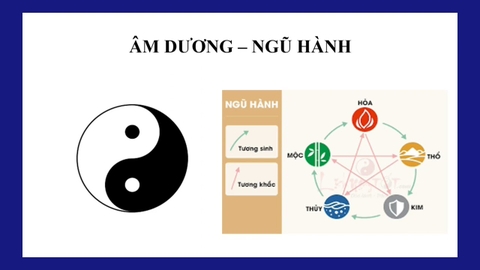 Tìm hiểu về các học thuyết âm dương, ngũ hành trong y học cổ truyền Tìm hiểu về các học thuyết âm dương, ngũ hành trong y học cổ truyền