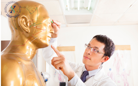 Khám Phá Các Huyệt Trên Mặt Trong Y Học Cổ Truyền Khám Phá Các Huyệt Trên Mặt Trong Y Học Cổ Truyền