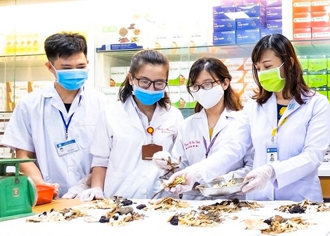 Học văn bằng 2 bác sĩ y học cổ truyền có lợi ích gì? Nên học văn bằng 2 y học cổ truyền ở đâu? Học văn bằng 2 bác sĩ y học cổ truyền có lợi ích gì? Nên học văn bằng 2 y học cổ truyền ở đâu?