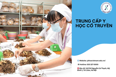 Trung Cấp Y Học Cổ Truyền: Lựa Chọn Tương Lai Đầy Hứa Hẹn Trung Cấp Y Học Cổ Truyền: Lựa Chọn Tương Lai Đầy Hứa Hẹn