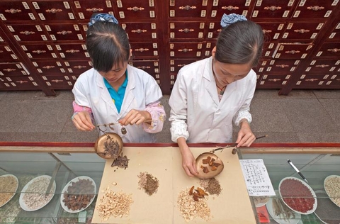 Y học cổ truyền ra trường làm gì, chữa bệnh gì, có dễ xin việc không? Y học cổ truyền ra trường làm gì, chữa bệnh gì, có dễ xin việc không?