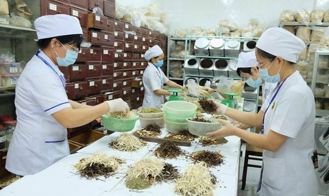 Mức Lương Ngành Y Học Cổ Truyền: Bao Nhiêu và Tiềm Năng Ra Sao? Mức Lương Ngành Y Học Cổ Truyền: Bao Nhiêu và Tiềm Năng Ra Sao?