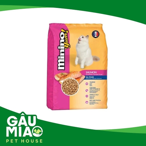 Minino Yum Salmon-Cá hồi