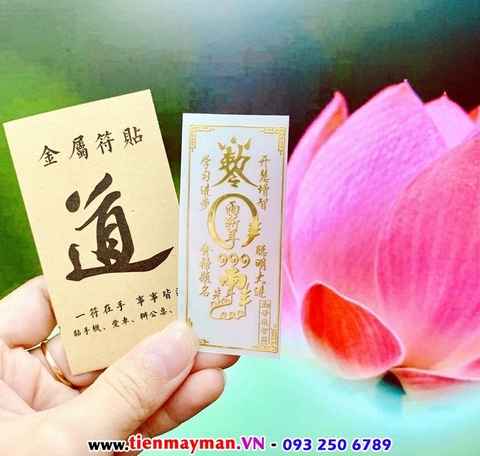 Linh Phù Học giỏi cầu may mắn thuận lợi trong học tập - 651