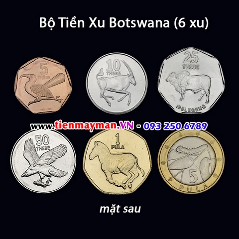 Bộ tiền xu Botswana 6 xu