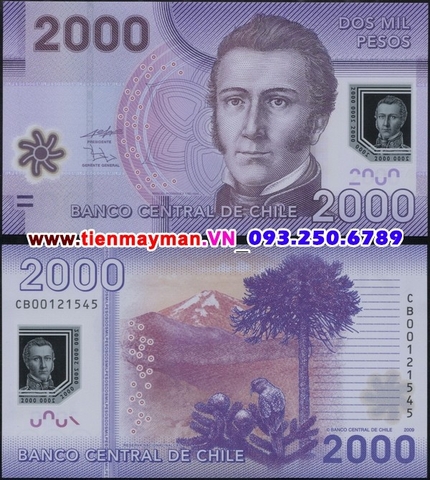 Chile 2000 Pesos 2010 UNC polymer