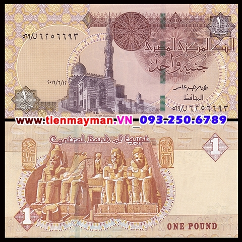 Egypt - Ai Cập 1 Pound 2008 UNC
