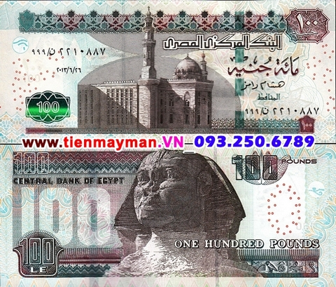 Egypt - Ai Cập 100 Pound 2013 UNC