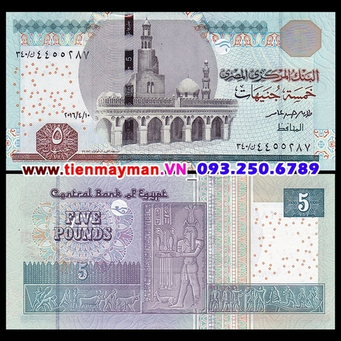 Egypt - Ai Cập 5 Pound 2013 UNC