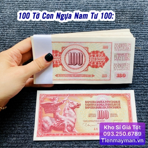 100 Tờ Tiền Con Ngựa Nam Tư 100 Dinara