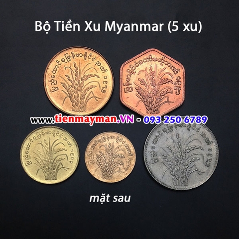 Bộ tiền xu Myanmar 5 xu