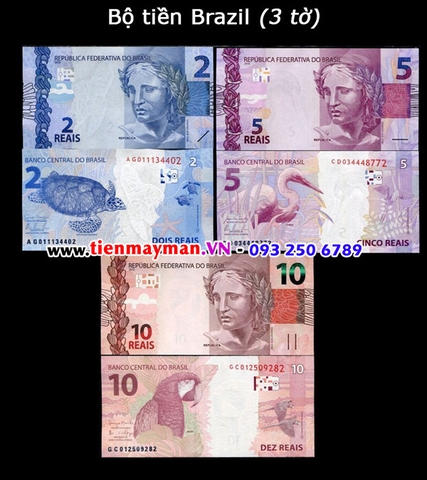 Bộ tiền Brazil 3 tờ 2 5 10 Reais