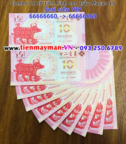 Tiền in hình con trâu Macao 10 seri VIP 66666666