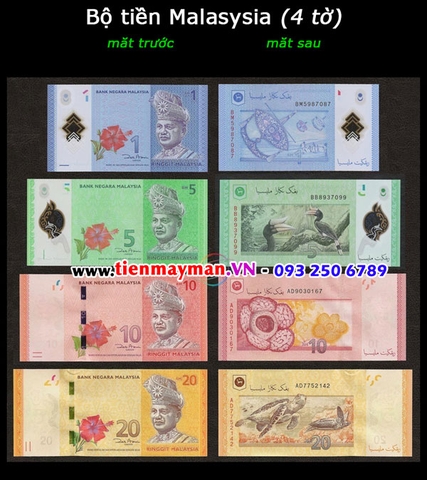 Bộ tiền Malaysia 4 tờ 1 5 10 20 Ringgit