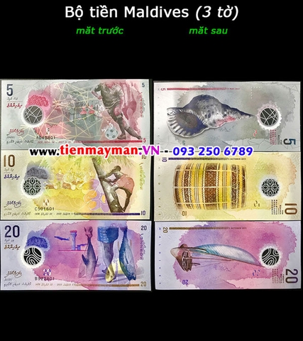 Bộ tiền Maldives 3 tờ 5 10 20 Rufiyaa 2015 polymer