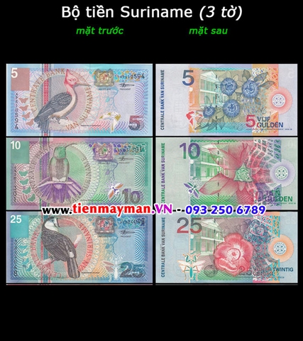 Bộ tiền Suriname 3 tờ 5 10 25 Gulden 2000