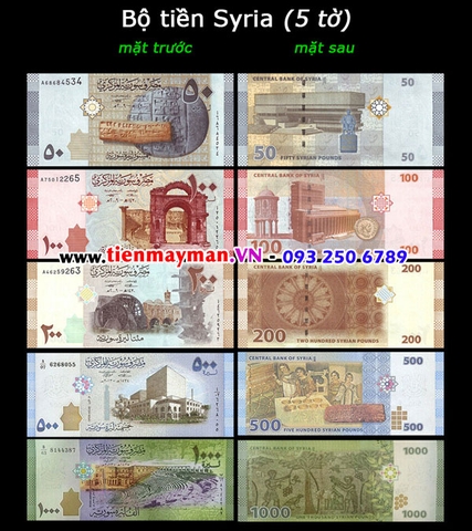 Bộ tiền Syria 5 tờ 50 100 200 500 1000 Pounds