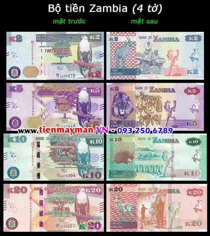 Bộ tiền Zambia 4 tờ 2 5 10 50 Kwacha