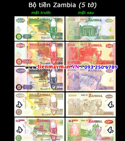 Bộ tiền Zambia 5 tờ 20 50 100 500 1000 Kwacha