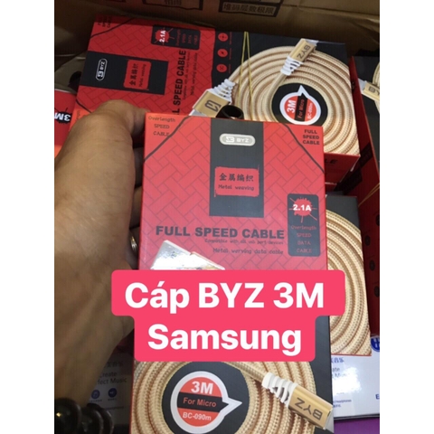 Cáp BYZ đầu 8600