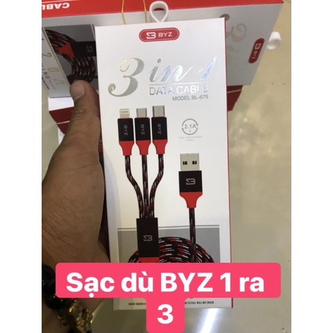 Cáp BYZ 1 ra 3