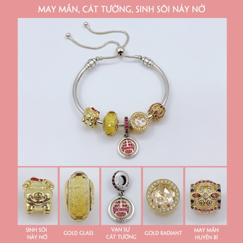 Vòng tay bạc S925, vòng tay charm thời trang phong thủy, May Mắn_Cát Tường_Sinh Sôi Nảy Nở - Mã DS0027