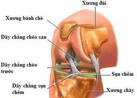 PHỤC HỒI CHỨC NĂNG DÂY CHẰNG CHÉO SAU – CHÌA KHÓA TRÁNH TÁI CHẤN THƯƠNG
