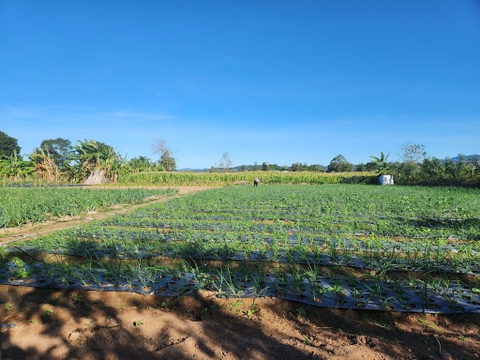 LÀM NÔNG KHÔNG VỘI