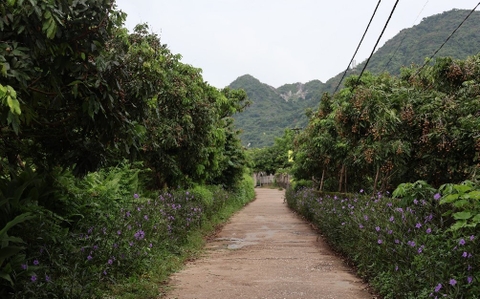 HÀNH TRÌNH KIẾN TẠO THƯƠNG HIỆU NÔNG SẢN TỪ GIAN KHÓ