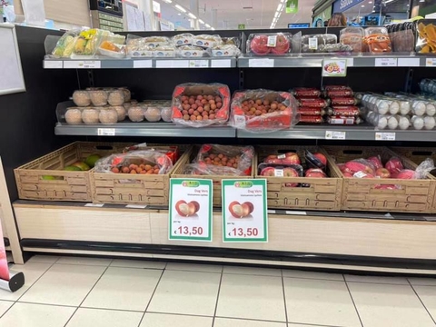 DOANH NGHIỆP VIỆT KIỀU LÀ CẦU NỐI ĐỂ TĂNG XUẤT KHẨU VÀO CHÂU ÂU