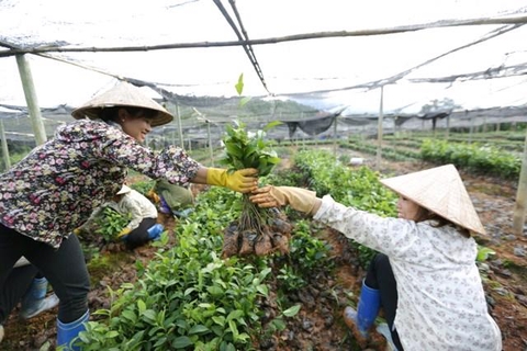 75.000 TỶ ĐỒNG THỰC HIỆN MỤC TIÊU GIẢM NGHÈO ĐẾN NĂM 2025