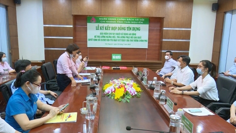 TÍCH CỰC TRIỂN KHAI GÓI HỖ TRỢ CỦA THỦ TƯỚNG CHÍNH PHỦ