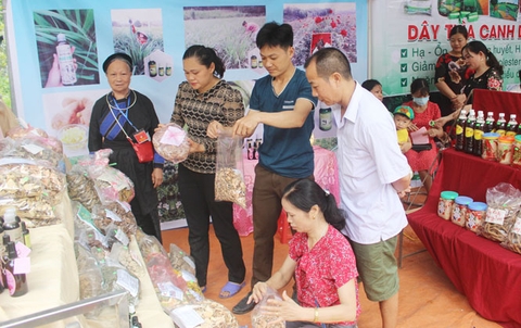 KÍCH CẦU TIÊU DÙNG NỘI ĐỊA