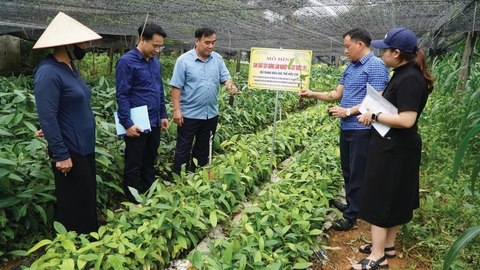 KHOA HỌC CÔNG NGHỆ: NHIỆM VỤ TRỌNG TÂM TRONG PHÁT TRIỂN KT-XH