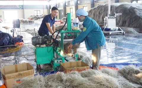 CÔNG NHẬN 53 SẢN PHẨM OCOP NĂM 2021