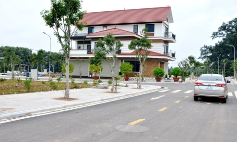 THÍCH ỨNG LINH HOẠT ĐỂ DẦN “BÌNH THƯỜNG MỚI”