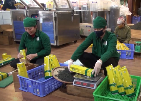 THỊ TRƯỜNG CHÈ THÁI NGUYÊN SÔI ĐỘNG DỊP ĐẦU NĂM