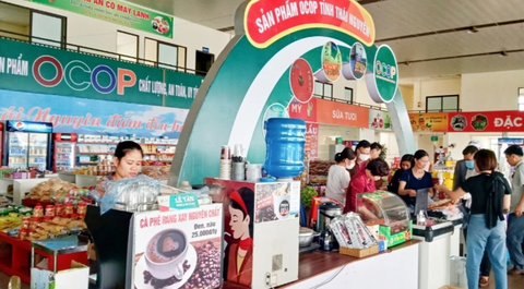 PHÁT TRIỂN SẢN PHẨM OCOP - NÂNG TẦM NÔNG SẢN THÁI NGUYÊN