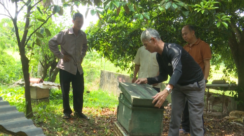 PHÁT HUY VAI TRÒ NGƯỜI CAO TUỔI TRONG PHÁT TRIỂN KINH TẾ