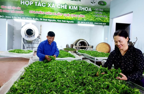 PHÁT HUY VAI TRÒ CỦA NÔNG DÂN TRONG PHÁT TRIỂN KINH TẾ NÔNG THÔN