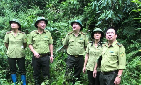 CHUYỂN ĐỔI SỐ GÓP PHẦN NÂNG CAO HIỆU QUẢ QUẢN LÝ, BẢO VỆ RỪNG