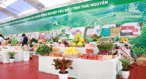 PHÁT TRIỂN SẢN PHẨM CHỦ LỰC, SẢN PHẨM CÓ LỢI THẾ TẠI ĐỊA PHƯƠNG