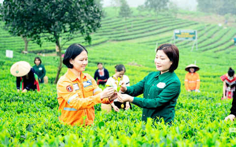 XÂY DỰNG NÔNG THÔN MỚI NÂNG CAO – “CHÌA KHÓA”CỦA SỰ PHÁT TRIỂN