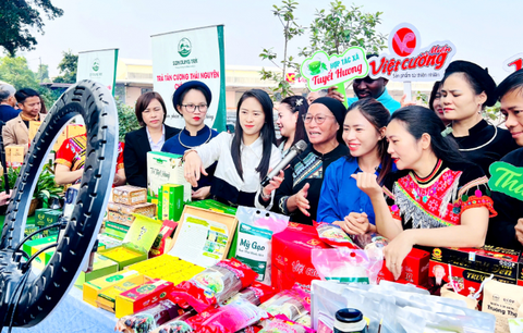 PHỤ NỮ THÀNH PHỐ THÁI NGUYÊN TÍCH CỰC THAM GIA CHUYỂN ĐỔI SỐ