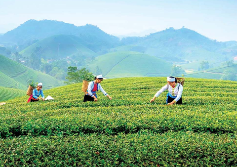 PHÁT TRIỂN NÔNG NGHIỆP XANH GẮN VỚI MÔ HÌNH DU LỊCH NÔNG THÔN
