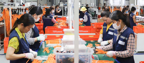 THÁI NGUYÊN: HOÀN THÀNH SỚM CHỈ TIÊU THU HÚT ĐẦU TƯ