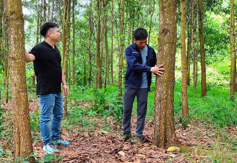 TĂNG TRƯỞNG XANH MỞ LỐI THU NHẬP BỀN VỮNG