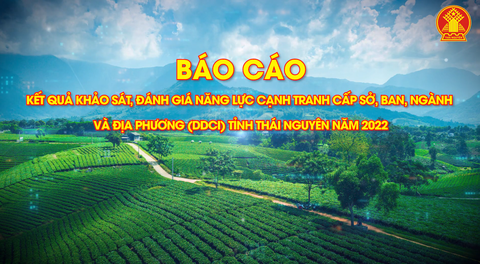 THÁI NGUYÊN | BÁO CÁO CHỈ SỐ NĂNG LỰC CẠNH TRANH CẤP SỞ, NGÀNH VÀ ĐỊA PHƯƠNG DDCI 2022