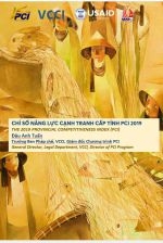 Bài Trình Bày PCI 2019 Của Ông Đậu Anh Tuấn