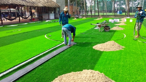 Cỏ Nhân Tạo Tuyên Quang